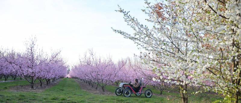 Discover the beauty of nature aboard an all-terrain electric vehicle